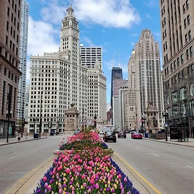 The Second City